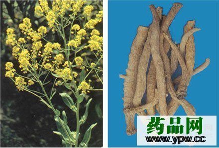 �L(zh��ng)�ڷ��ð��{(l��n)�����������w������