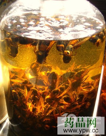 �U������ˎ�ƺȳ�����